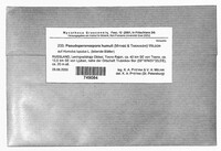 Image Associated With the Occurrence